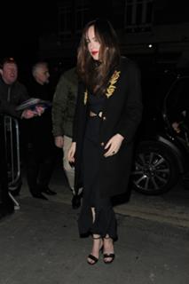 Dakota Johnson feet photo thumbnail