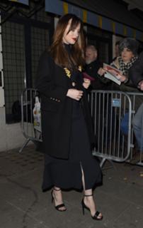 Dakota Johnson feet photo thumbnail
