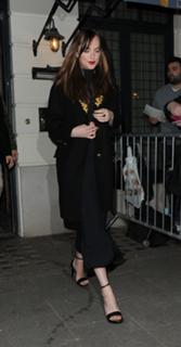 Dakota Johnson feet photo thumbnail