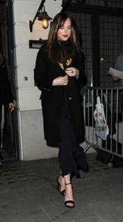 Dakota Johnson feet photo thumbnail