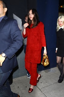 Dakota Johnson feet photo thumbnail
