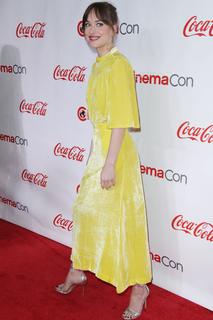 Dakota Johnson feet photo thumbnail