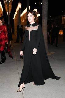 Dakota Johnson feet photo thumbnail