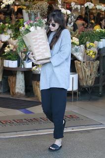 Dakota Johnson feet photo thumbnail