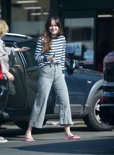 Dakota Johnson feet photo thumbnail