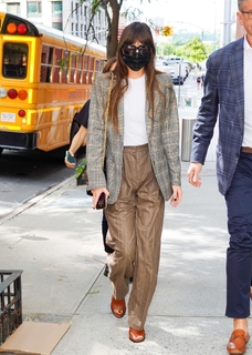 Dakota Johnson feet photo thumbnail