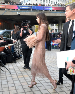 Dakota Johnson feet photo thumbnail