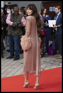 Dakota Johnson feet photo thumbnail