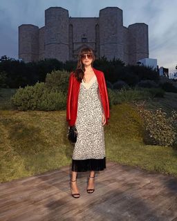 Dakota Johnson feet photo thumbnail