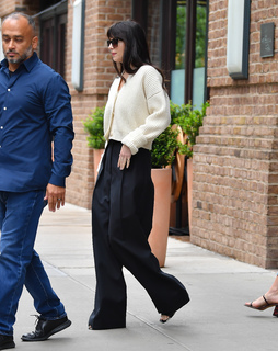 Dakota Johnson feet photo thumbnail