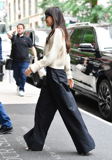 Dakota Johnson feet photo thumbnail