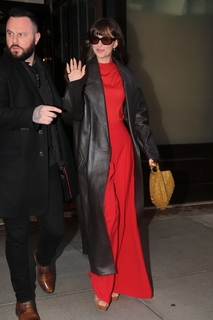 Dakota Johnson feet photo thumbnail