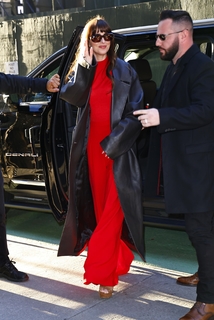 Dakota Johnson feet photo thumbnail