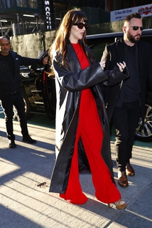 Dakota Johnson feet photo thumbnail