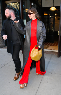 Dakota Johnson feet photo thumbnail