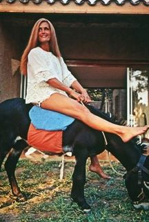 Dalida feet photo 19