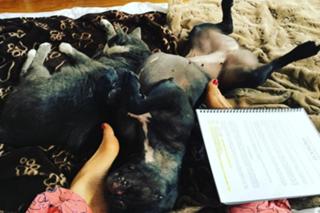 Dalilah Polanco feet photo thumbnail