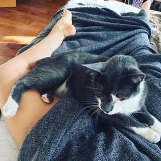 Dalilah Polanco feet photo thumbnail