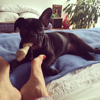 Dalilah Polanco feet photo thumbnail