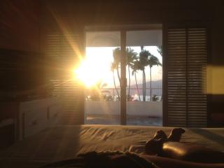 Dalilah Polanco feet photo thumbnail