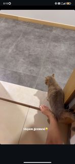 Damla Can feet photo 10