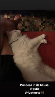 Damla Sönmez feet photo thumbnail