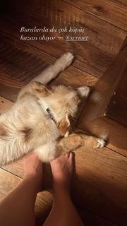 Damla Sönmez feet photo thumbnail