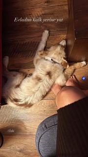 Damla Sönmez feet photo thumbnail