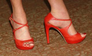 Dana Delany feet photo thumbnail