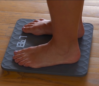 Dana Linn Bailey feet photo 3