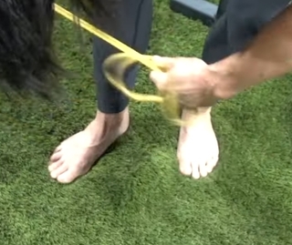 Dana Linn Bailey feet photo 19