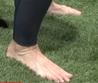 Dana Linn Bailey feet photo 13
