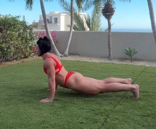 Dana Linn Bailey feet photo 5
