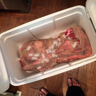 Dana Loesch feet photo thumbnail