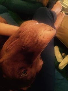 Dana Perino feet photo thumbnail