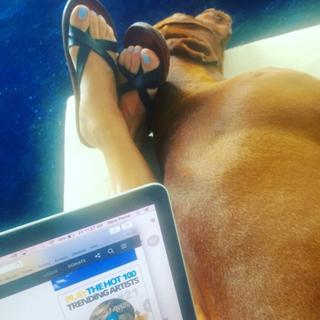 Dana Perino feet photo thumbnail