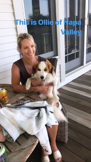 Dana Perino feet photo thumbnail