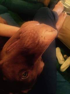 Dana Perino feet photo thumbnail