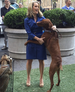Dana Perino feet photo thumbnail
