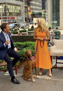 Dana Perino feet photo thumbnail