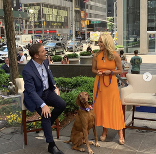 Dana Perino feet photo thumbnail