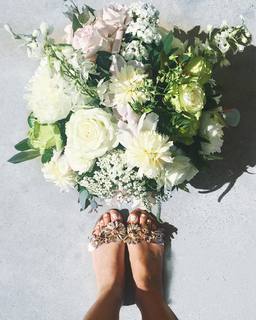 Dana Zarmon feet photo 3
