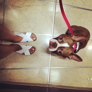 Dana Zarmon feet photo 9