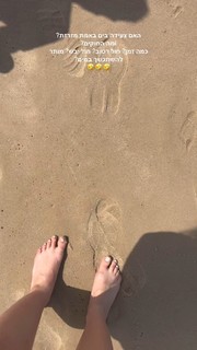 Dana Zarmon feet photo 12