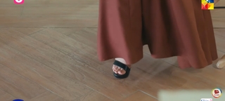 Dananeer Mobeen feet photo 8