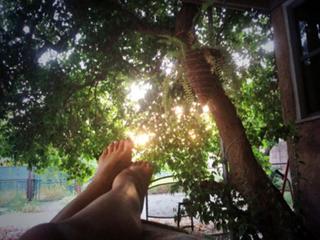 Danay Garcia feet photo thumbnail