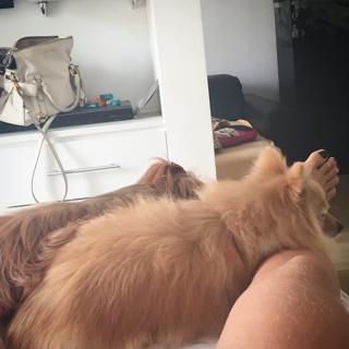 Dani Bolina feet photo thumbnail
