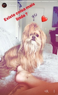 Dani Bolina feet photo thumbnail