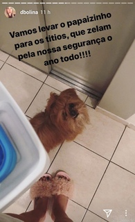 Dani Bolina feet photo thumbnail