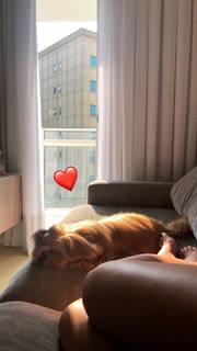 Dani Bolina feet photo thumbnail